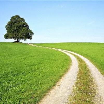 经典牛牛手机app下载