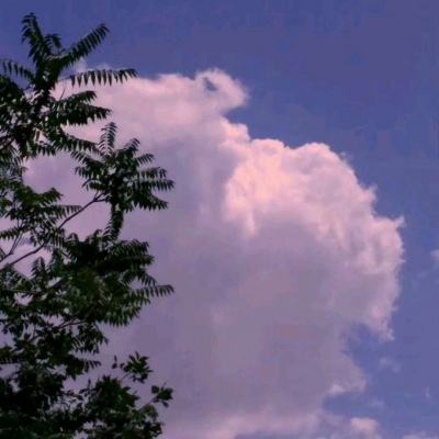 AG百家家乐appapp下载