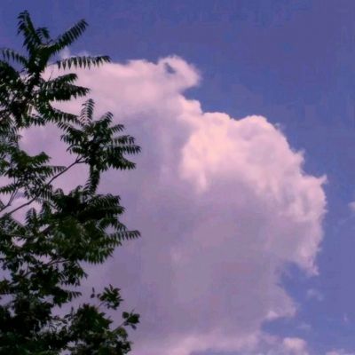 JN江南·体育注册